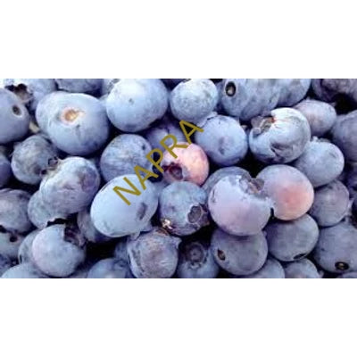 Áfonya BIO 125g